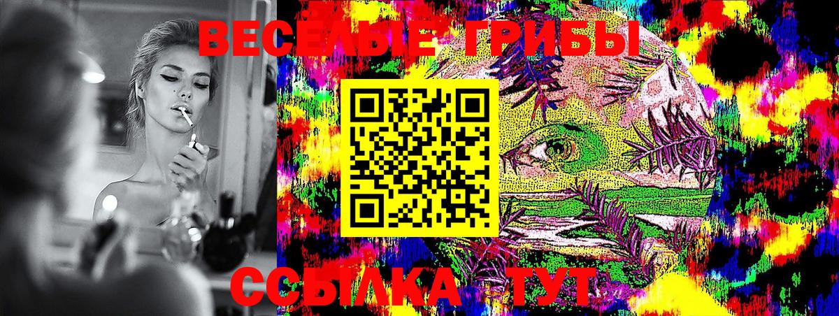 Псилоцибиновые грибы MAGIC MUSHROOMS  Вход с VPN  Хасавюрт 