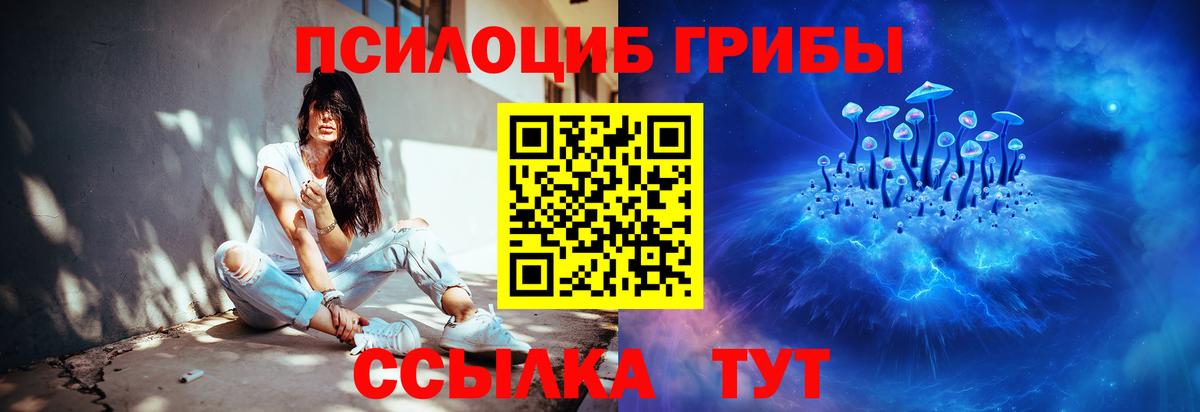 Галлюциногенные грибы Psilocybe Хасавюрт