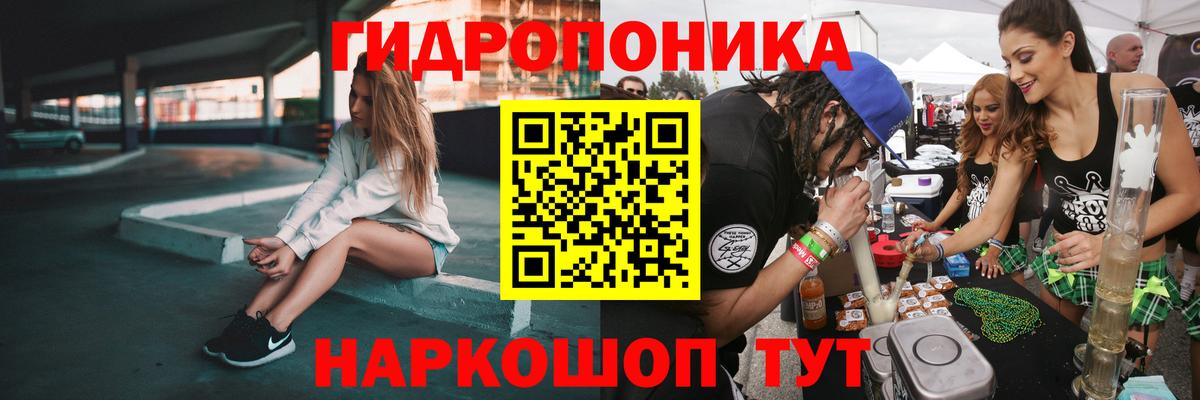 Конопля OG Kush  Конопля White Widow  Хасавюрт  Конопля VHQ  Вход с VPN 